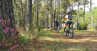 location-velo2