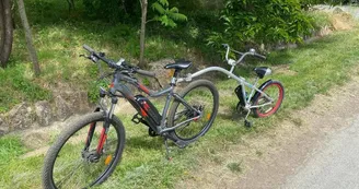 argentonnay-alpacas-location-velo-tag-along