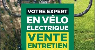 Location de vélos électriques : Feu Vert_1