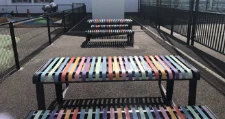 IMG-4695
