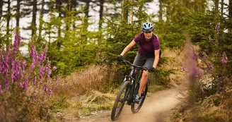 Location VTT - Soule Location VTT - Soule