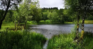 Plan d'eau de l'Enclose_2