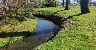 aire de pique nique - Uzein - le ruisseau