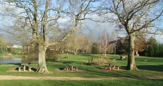 DSCF2010.JPG_7