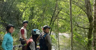 vtt feelout-1 vtt feelout-1