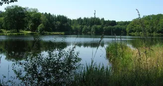 ©Creuse Thaurion Gartempe_2 ©Creuse Thaurion Gartempe_2