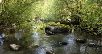IMG_8397-HDR