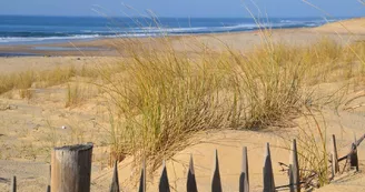 Plage Centrale_Moliets_Landes Atlantique Sud Plage Centrale_Moliets_Landes Atlantique Sud