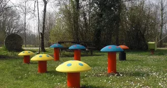 Les champignons de l'aire de jeux du site du Duellas