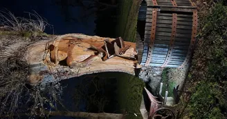 2025 - LACQ - Airial de Lachayre - Sculpture dans le tronc - ©Airial de Lachayre