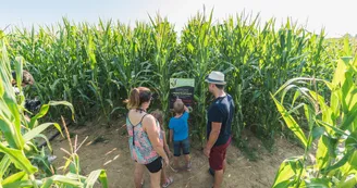 Labyrinthe végétal à Romagne