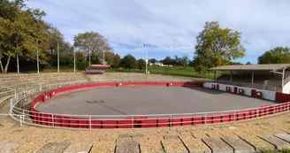 Arènes