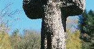 Croix_1