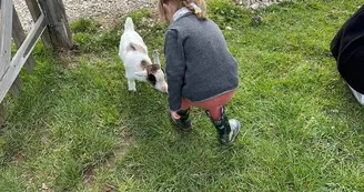 Ferme de Brossard - Ferme Pédagogique_contactAnimaux_6