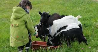 Ferme de Brossard - Ferme Pédagogique_enfantsEtAnimaux_5