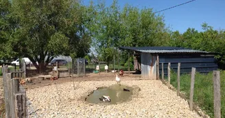 Ferme de Brossard - Ferme Pédagogique_parcoursVisite_15