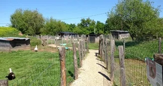 Ferme de Brossard - Ferme Pédagogique_parcoursAmenage_16