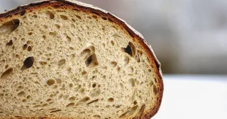 Boulangerie - Pain Boulangerie - Pain