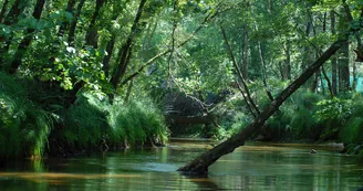 photosanscanoe.JPG_2