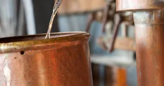 Ecomusée de l'Armagnac_2 Ecomusée de l'Armagnac_2