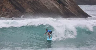 Surf Hastea
