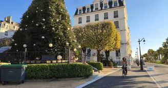 cycliste sur la voie velo