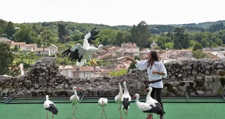 Géants du Ciel_3 Géants du Ciel_3