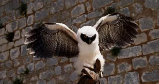 Géants du Ciel_4 Géants du Ciel_4