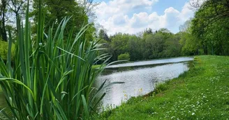 Busserolles - Étang Busserolles - Étang
