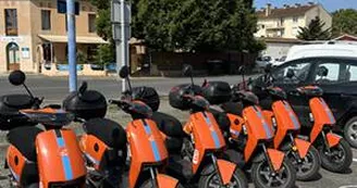 eDOG - GARE DE TONNEINS