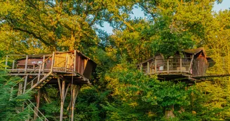 Cabane dans les arbres Cabane dans les arbres