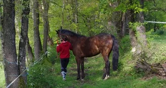 Coeurdebastides_Pailloles_EquipementLoisirs_HarasdeSoulignac4_20160928 (800x600) Coeurdebastides_Pailloles_EquipementLoisirs_HarasdeSoulignac4_20160928 (800x600)