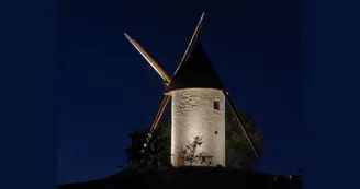 Citole by night (1)
