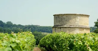 Destination Garonne, Pigeonnier du Château de Rolland, Barsac Destination Garonne, Pigeonnier du Château de Rolland, Barsac