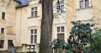 hôtel berthelot poitiers (1)