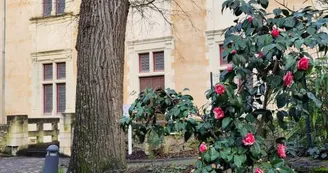 hôtel berthelot poitiers (2)