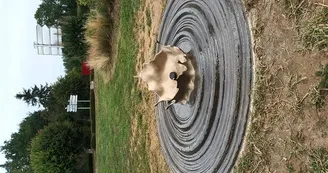 ricochets 2