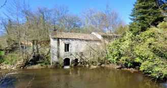 Moulin de Tiquetorte Moulin de Tiquetorte