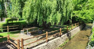 IMG_20230503_124220