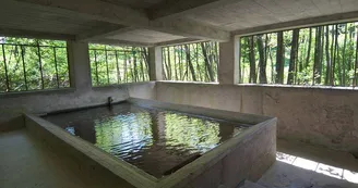 le lavoir_1 le lavoir_1