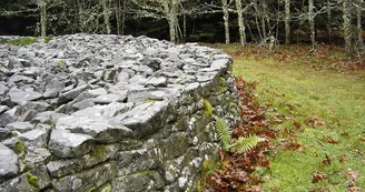 Tumulus du Puy de Plane_1