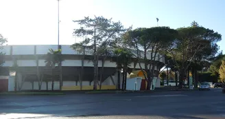 Hagetmau-arenes
