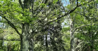 aire pique-nique parc voulgre mussidan patrimoine tourisme vallee isle 2025