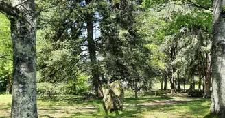 aire pique-nique parc voulgre mussidan tourisme vallee isle 2025