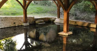2009_MONTAUT_Fontaine-St-Vincent