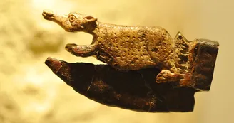 Musée de Rauranum à Rom Musée de Rauranum à Rom