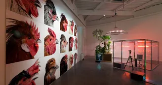 Centre d'art contemporain Rurart_5