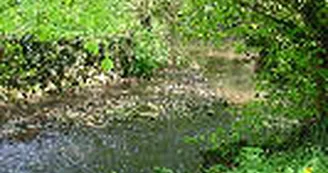 ruisseau-moulin-bertrand-fiche-curiosite ruisseau-moulin-bertrand-fiche-curiosite