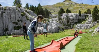 Mini-golf