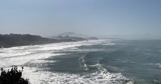 Plage de la Côte des Basques -Biarritz - Vue Plage de la Côte des Basques -Biarritz - Vue